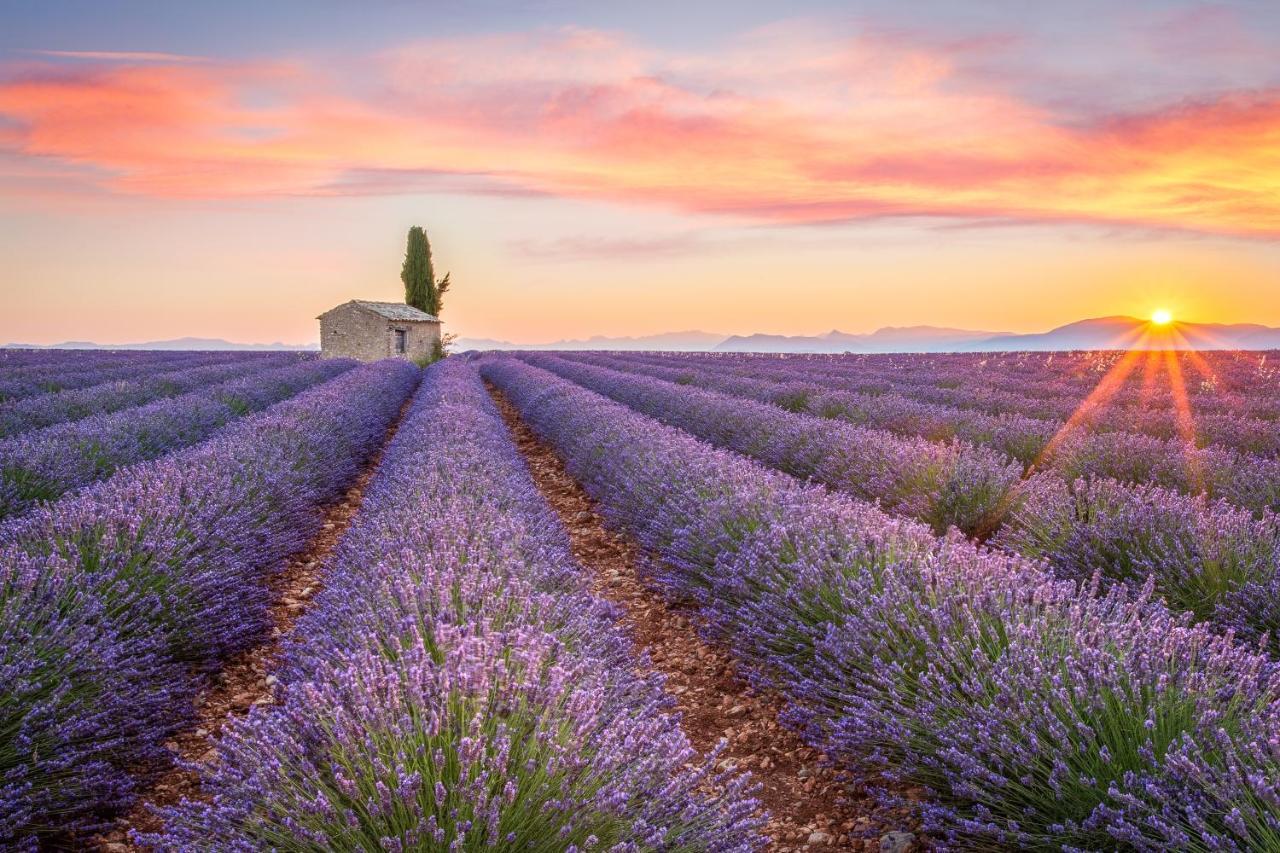 Cabrières-dʼAvignon Provence Now 아파트 외부 사진