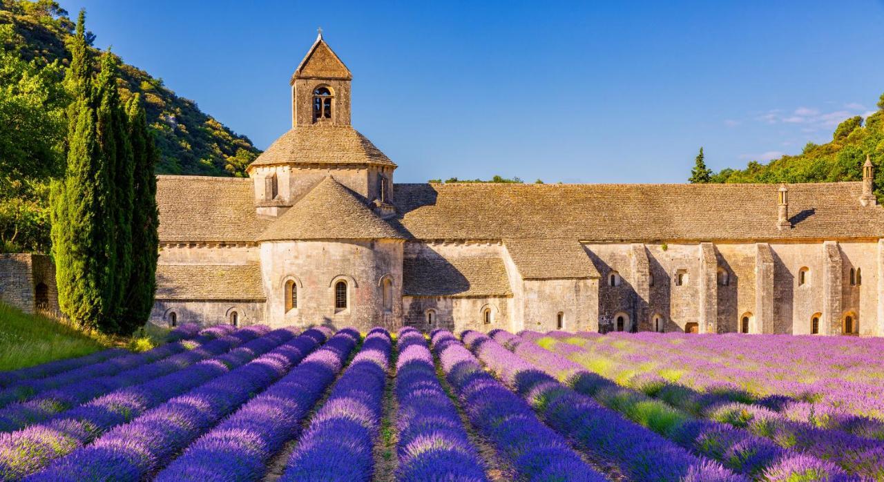 Cabrières-dʼAvignon Provence Now 아파트 외부 사진