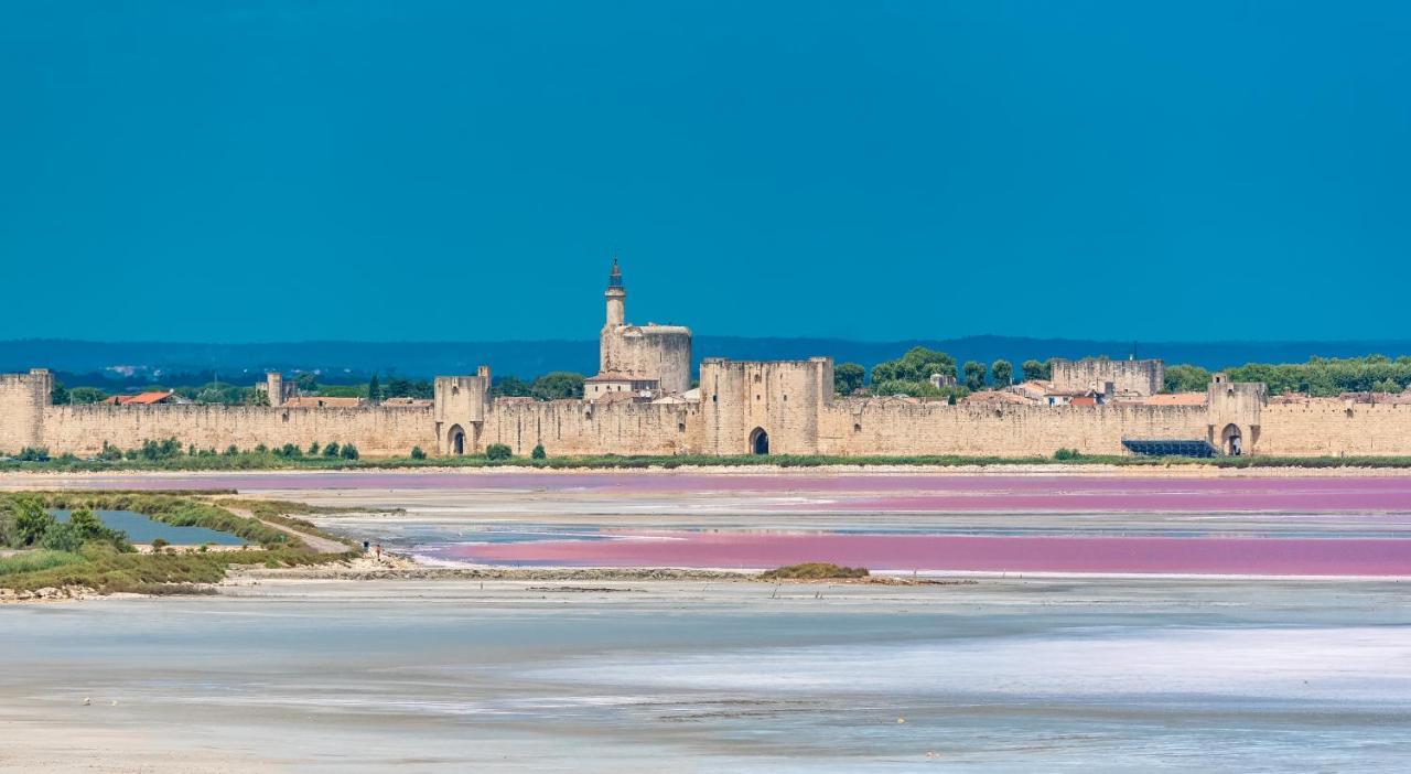 Cabrières-dʼAvignon Provence Now 아파트 외부 사진